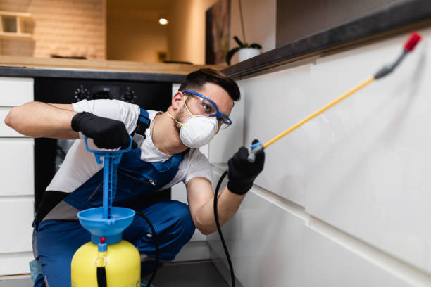 Best Exterminator Services  in University Heights, OH