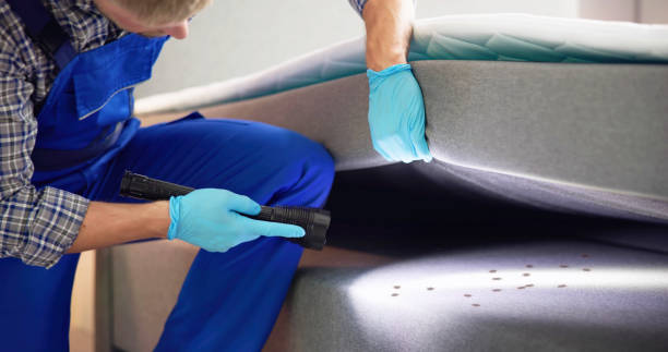Best Commercial Pest Control Services  in University Heights, OH